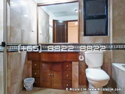 Dover Parkview (D5), Condominium #85219402
